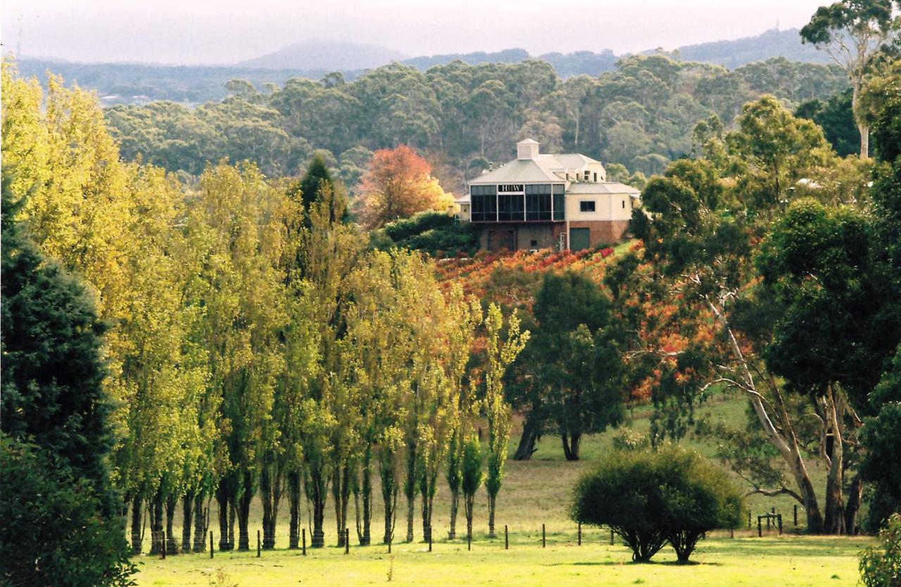 Exclusive Half-Day Private Tour Experience