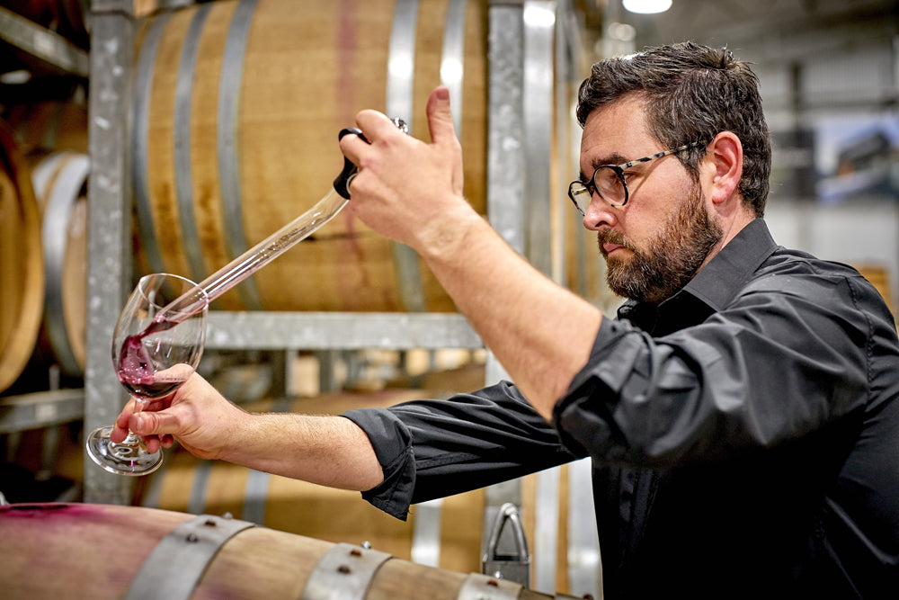 Soil To Cellar Experience