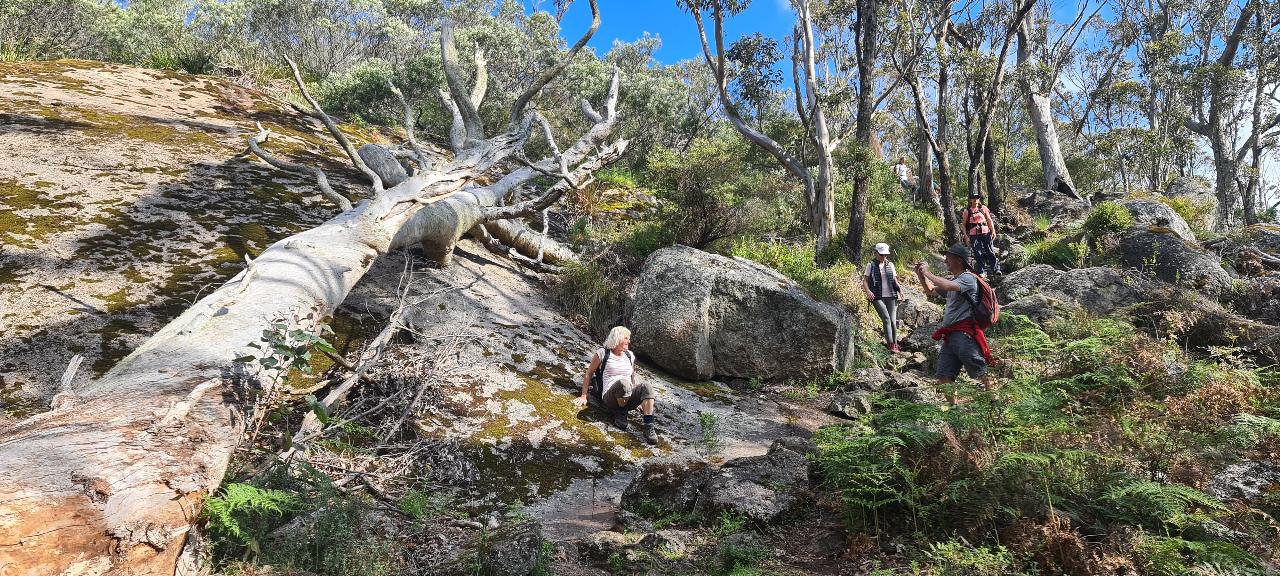 Albany Natural Wonders Weekender Experience