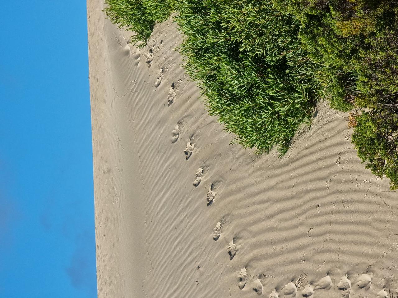 Port Lincoln National Park Sightseeing & Off-Road Tour
