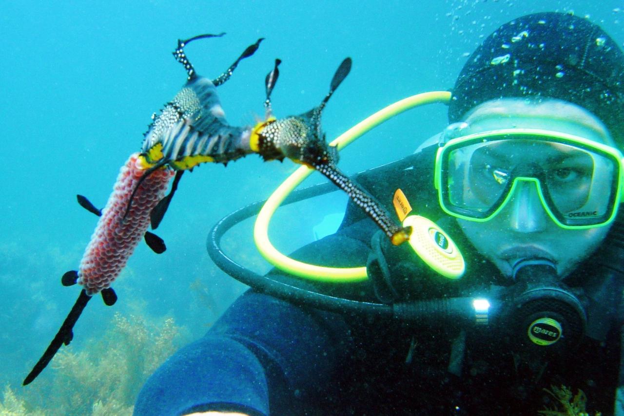 Padi Open Water Dive Course