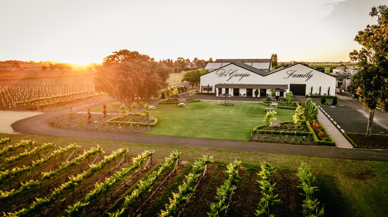 Cellar Door Wine Tasting At Digiorgio Family Wines
