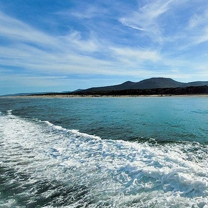 Wilsons Prom – Whale Cruise