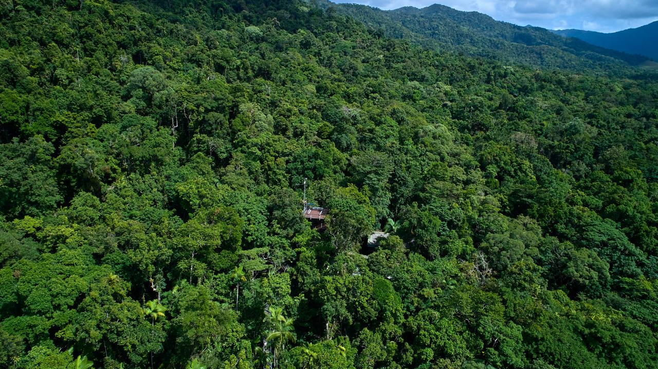 Crocodile Express Daintree River Cruise Departing From Daintree Ferry Gateway & Daintree Discovery