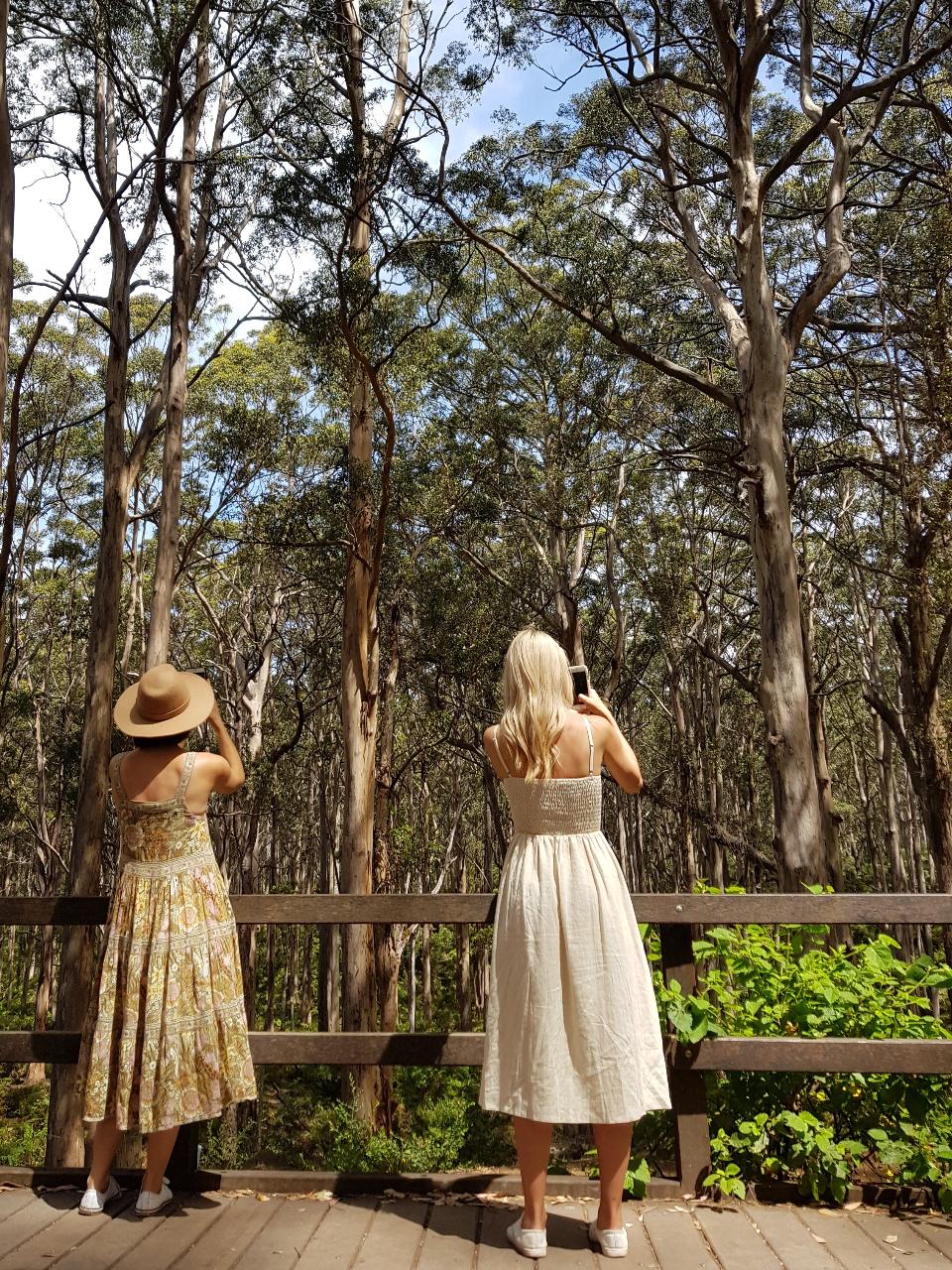 The All About Margaret River Tour: Wine, Coffee, Lunch And Forest