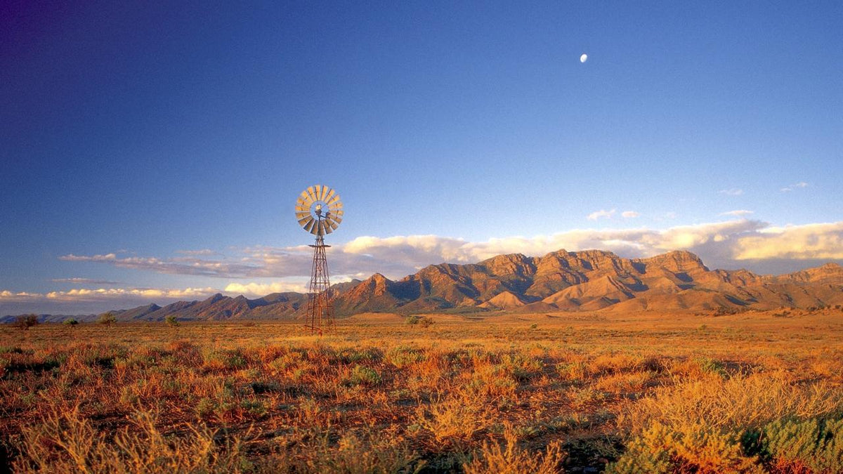 5-Day Flinders Ranges & Outback Small Group 4Wd Eco Safari
