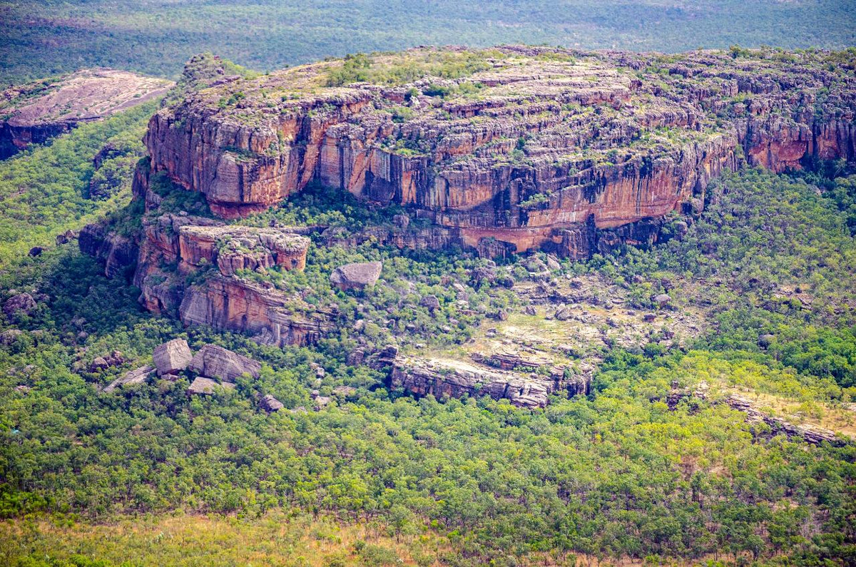 Cooinda 60 Minute Scenic Flight