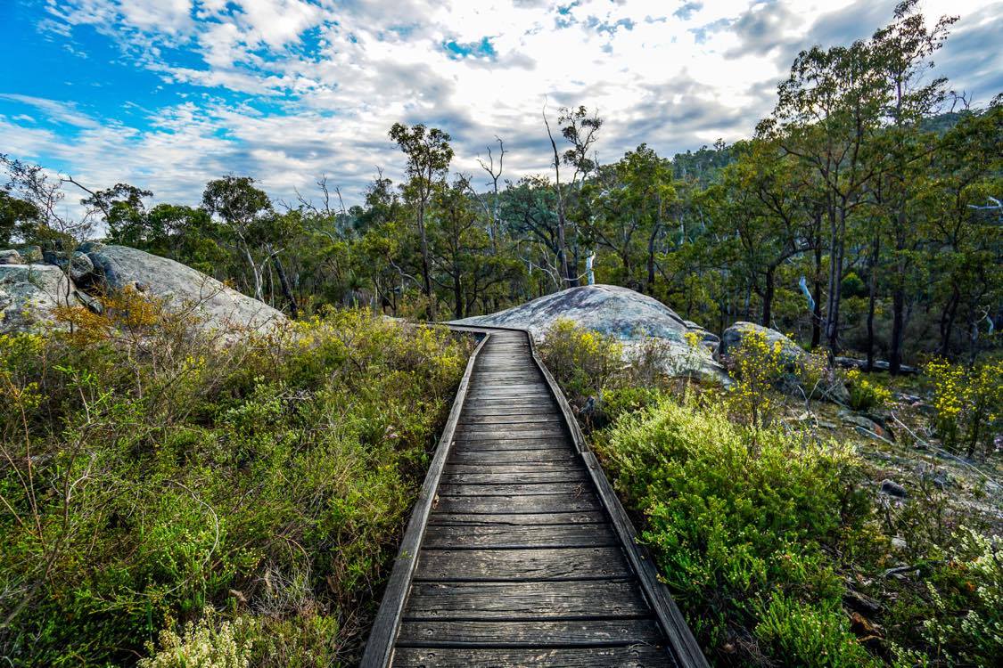 Numbat Trail Hiking Experience