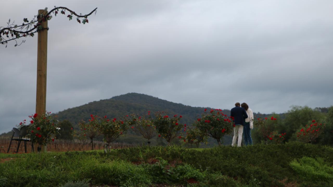 Private Boutique Hunter Valley Winery Tour Full Day 3 People Includes Delicious Lunch