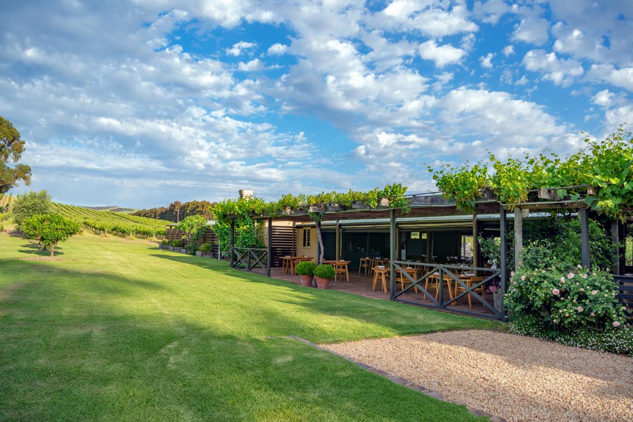 Wellness & Wine - A Vegan's Long Lunch At Shottesbrooke Vineyards