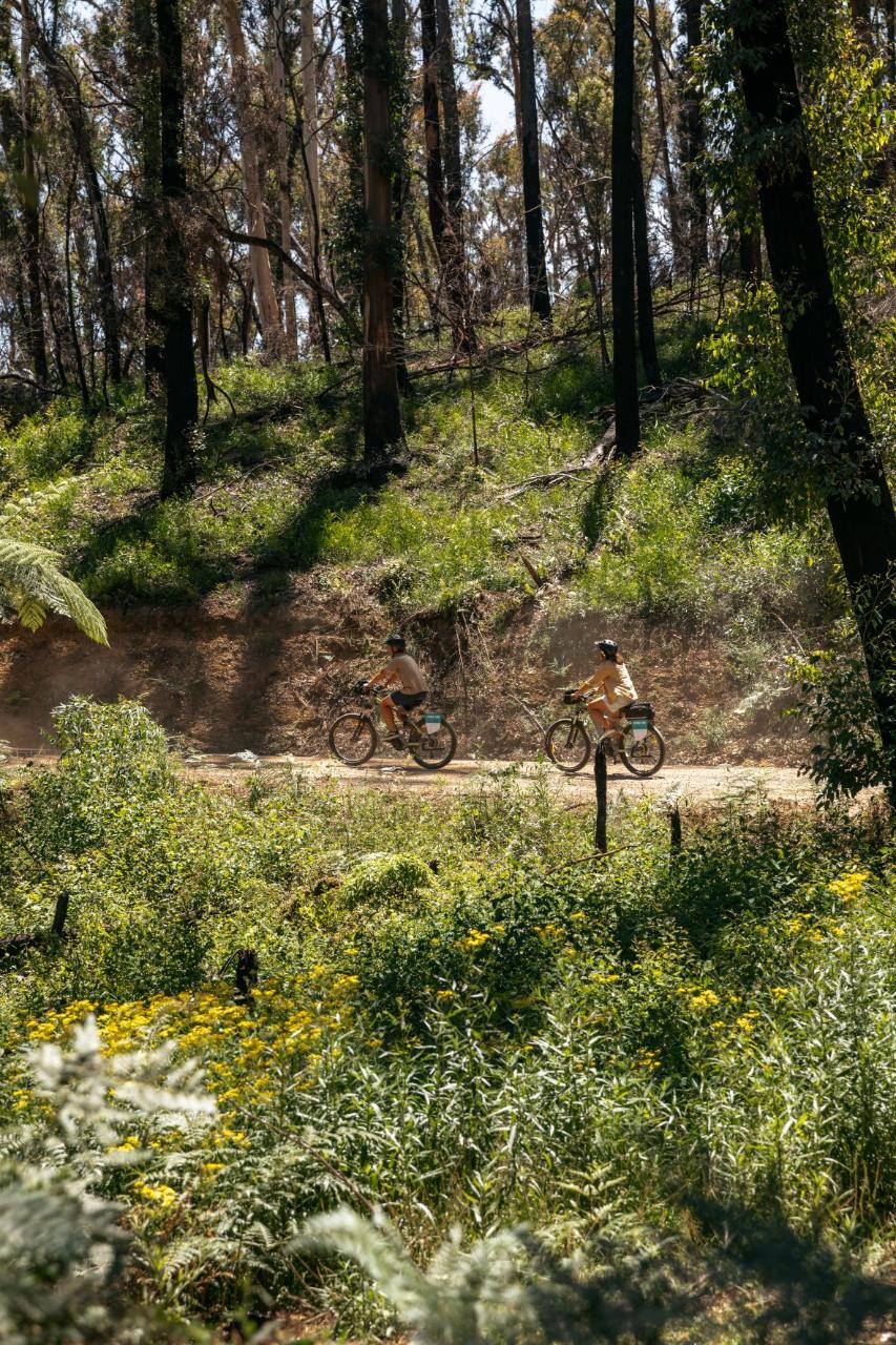 Self Guided E-Bike Tour - Pedal To Produce Series - Wagonga Wilderness Loop