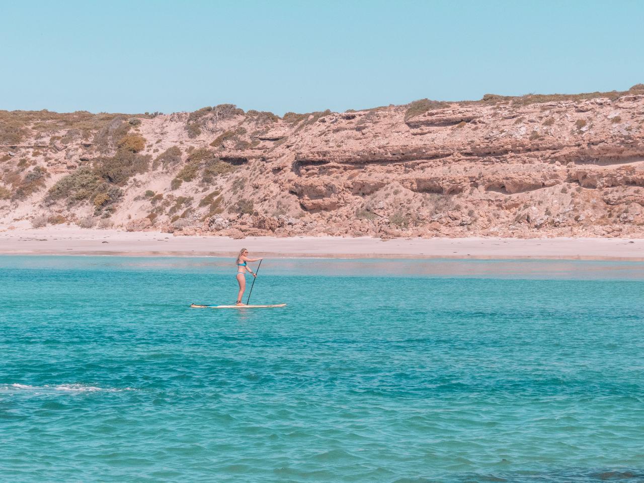 Snorkelling Kit Hire