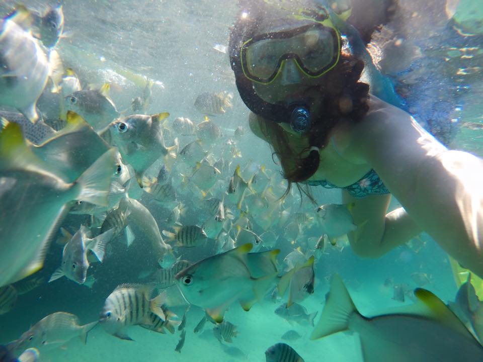 1 Day Moreton Island Snorkel Kayak & Sandboard Adventure Tour