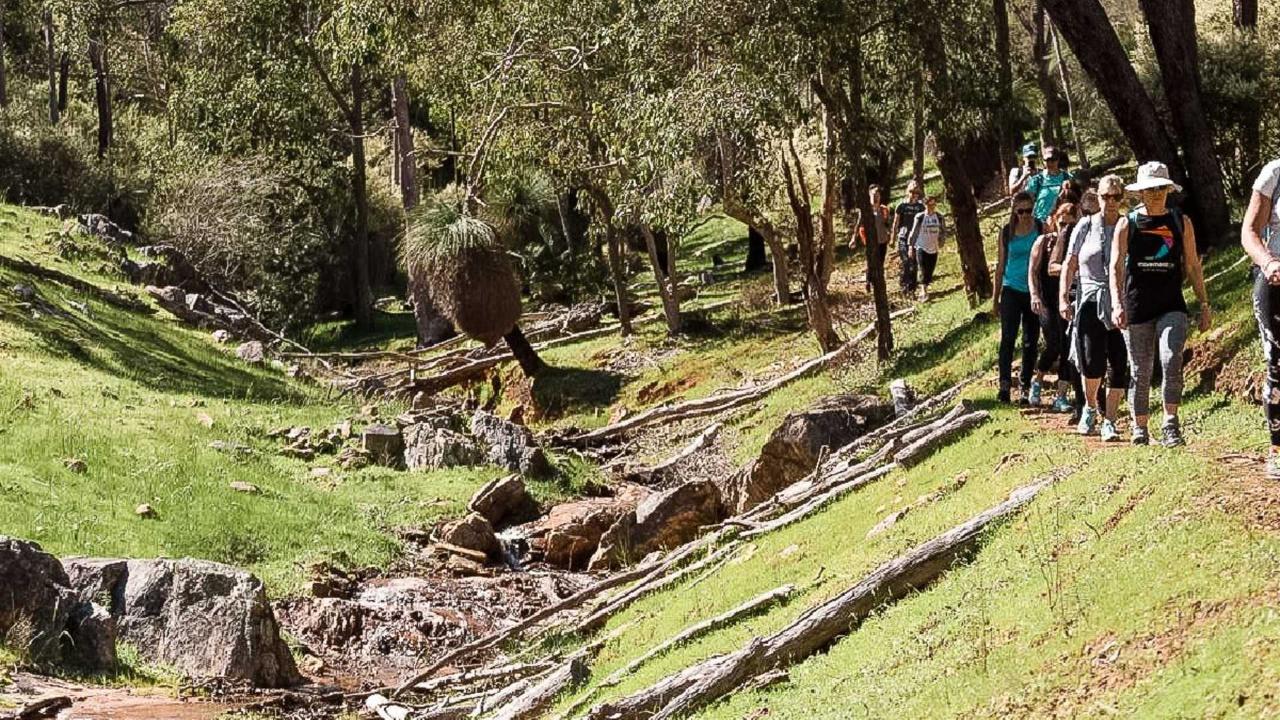 Quenda At Paruna Guided Hike - 6.5 Km & 3 Hrs