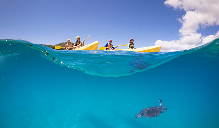 Water Experiences