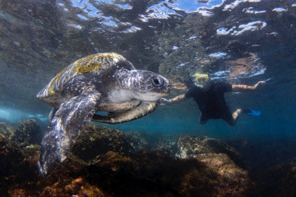 Certified Divers - Cook Island Double Dive Special