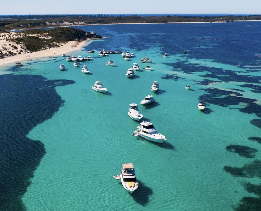 Quokkas Delight Rottnest Island Tour