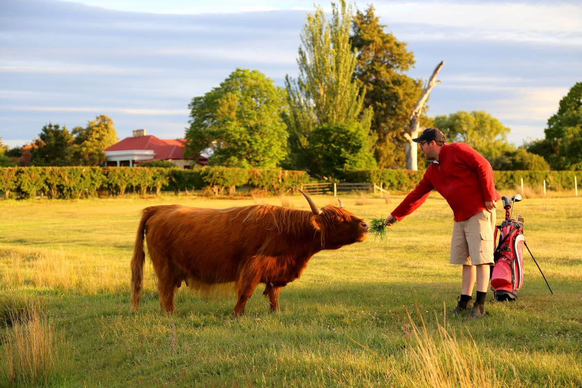 Explore Tasmania - Your Day Your Way: Private And Custom