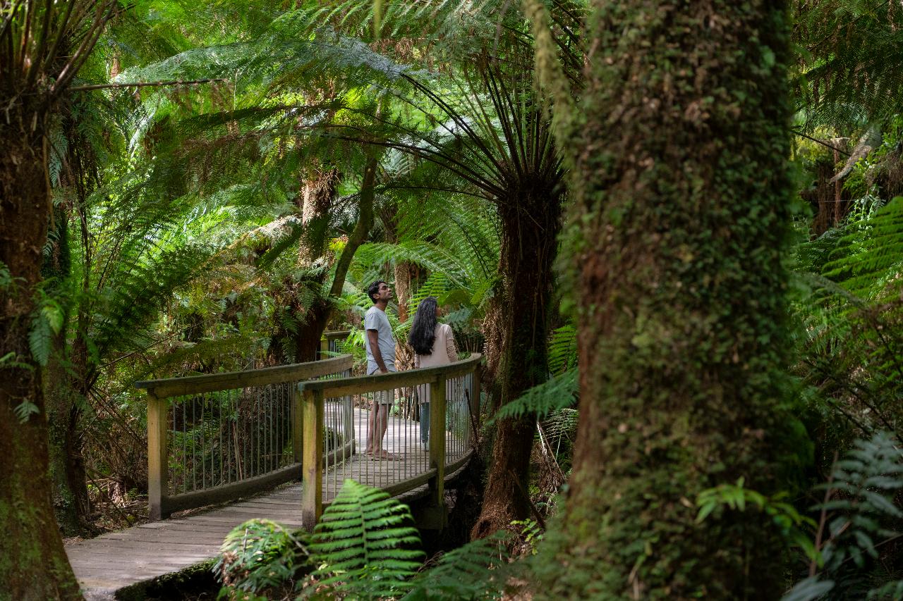 Autopia Tours: Great Ocean Road Twelve Apostles Tour