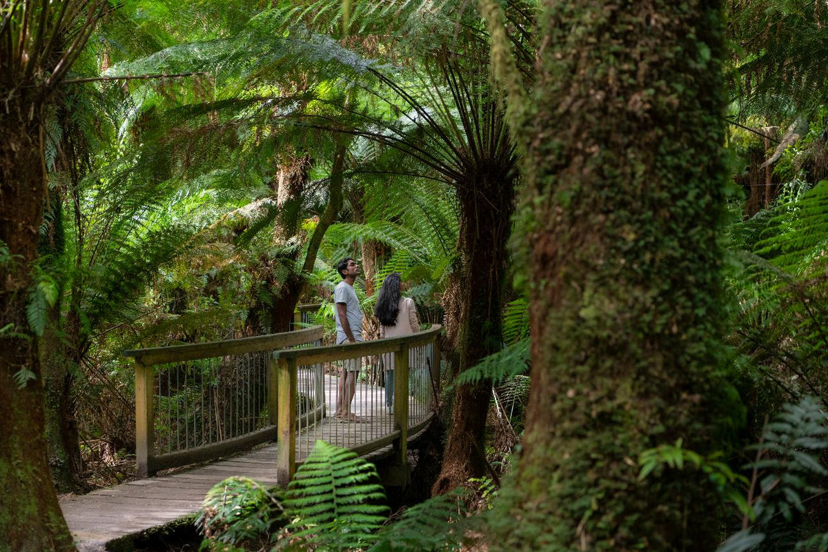 Autopia Tours: Great Ocean Road Twelve Apostles Tour