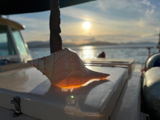 Tall Ship Sunset & Twilight Cruise