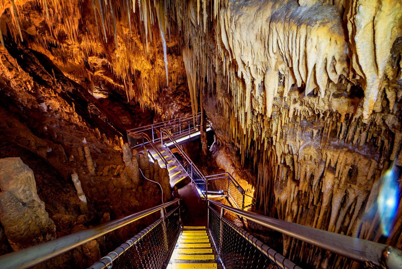 Hastings Caves, Thermal Springs And Tahune Airwalk