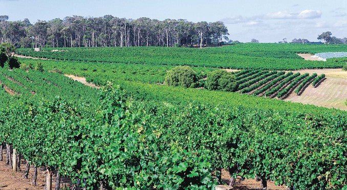 Full Day Wine Tour