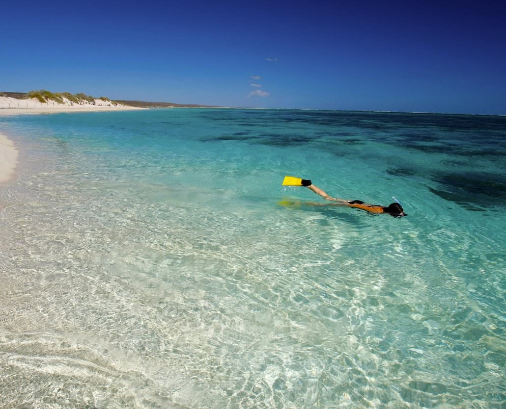 Whale Shark Overland Tour