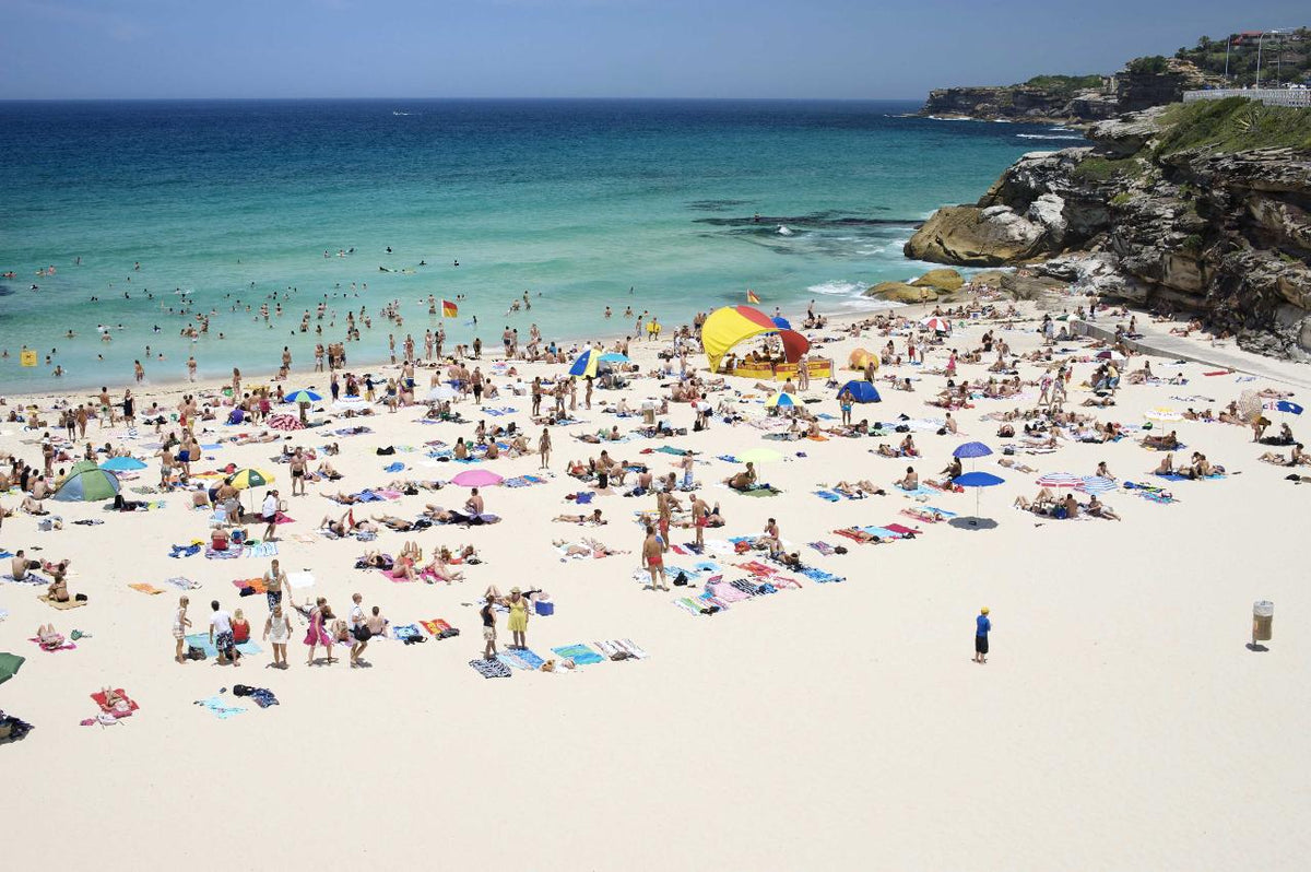Sydney Highlights Half Day Private Tour