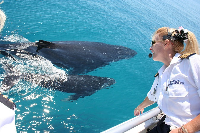 Whale Watching Adventure