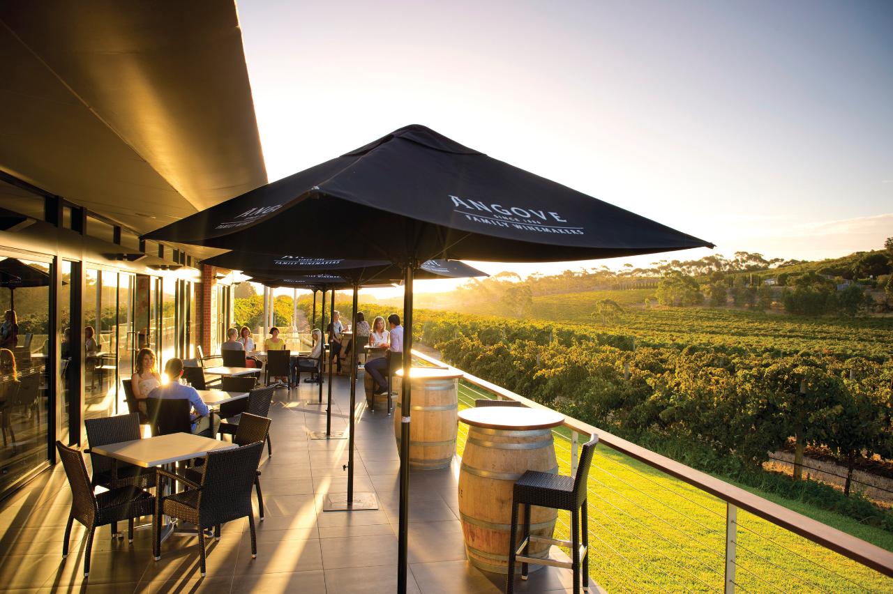 Mclaren Vale North Hop On Hop Off Tour - City Pick Up & Return