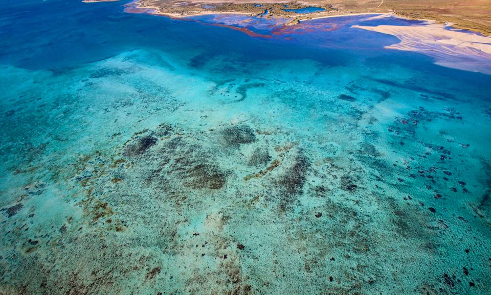 60 Min Birds Eye View Ningaloo