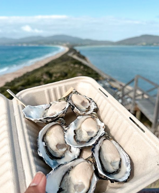 Shore Excursion - Bruny Island Day Tour