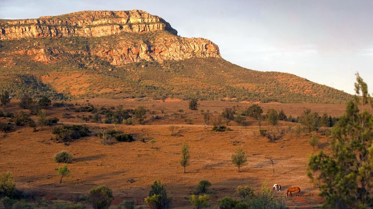 5-Day Flinders Ranges & Outback Small Group 4Wd Eco Safari