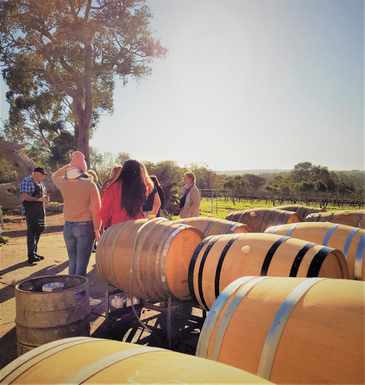 The All About Margaret River Tour: Wine, Coffee, Lunch And Forest