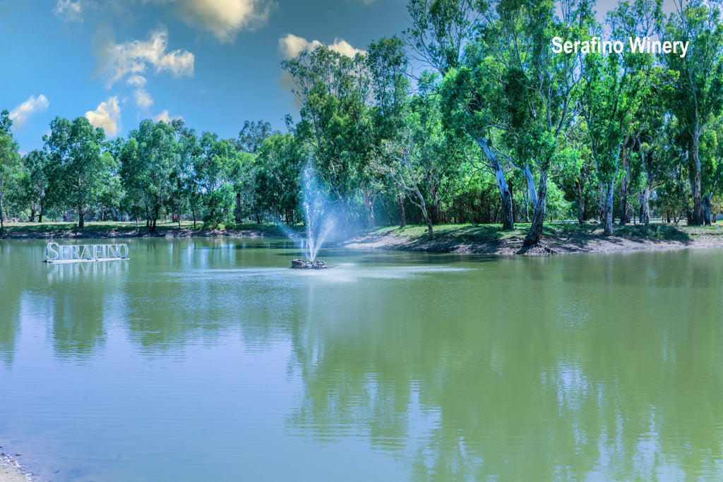 Mclaren Vale The Mixed Bag Beer, Gin & Wine Tastings