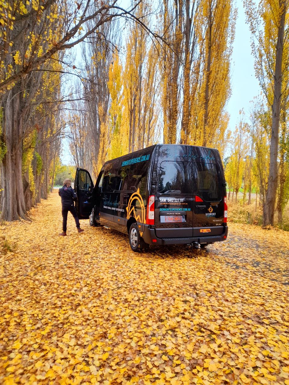 Explore Tasmania - Your Day Your Way: Private And Custom