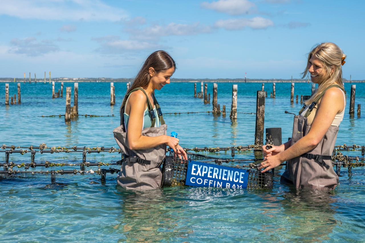 Coffin Bay Oyster Farm & Bay Tour - 12 Oysters - Including Wading Experience