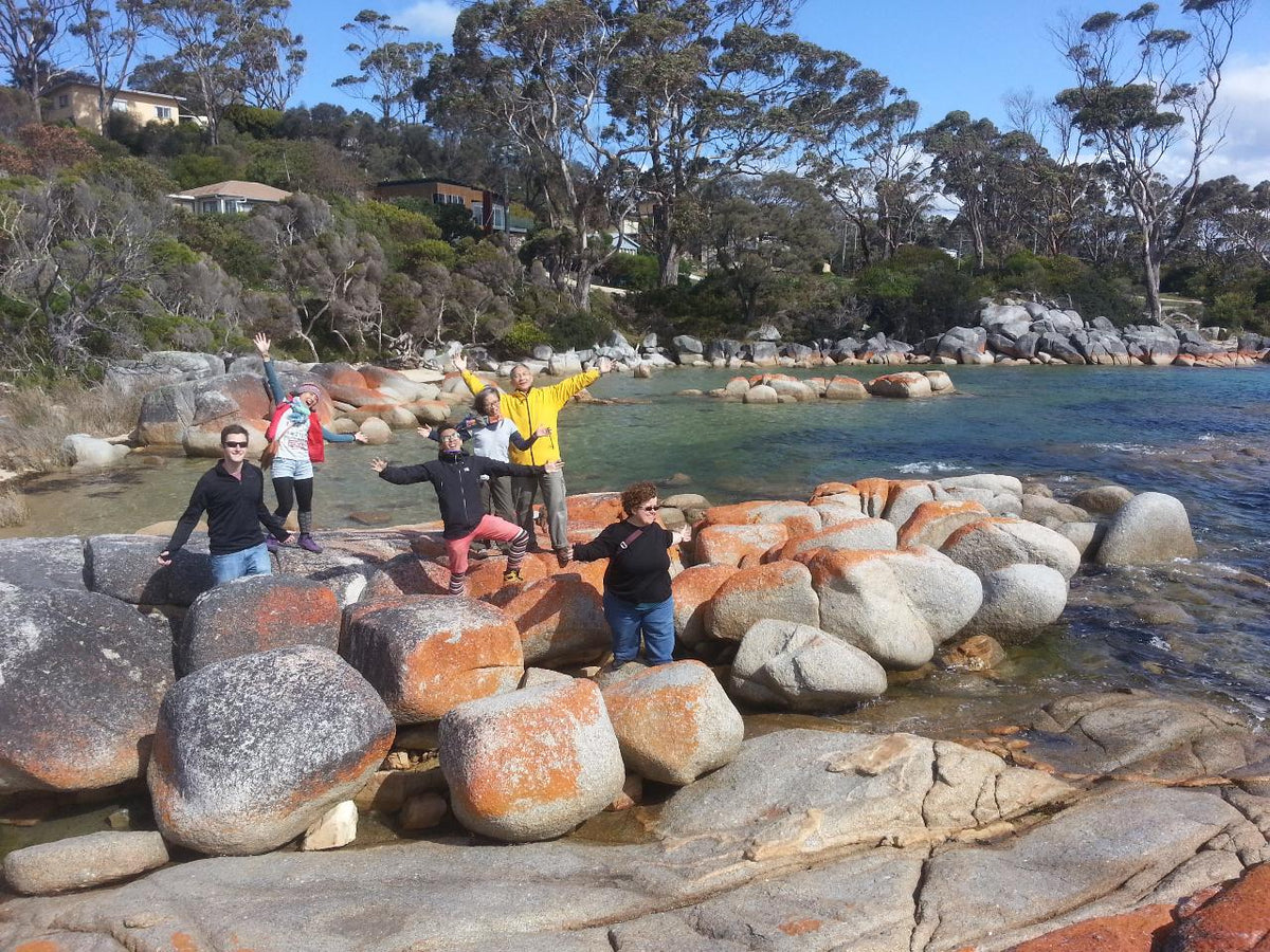 Bay Of Fires Day Tour