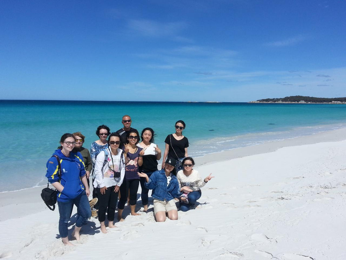 Bay Of Fires Day Tour