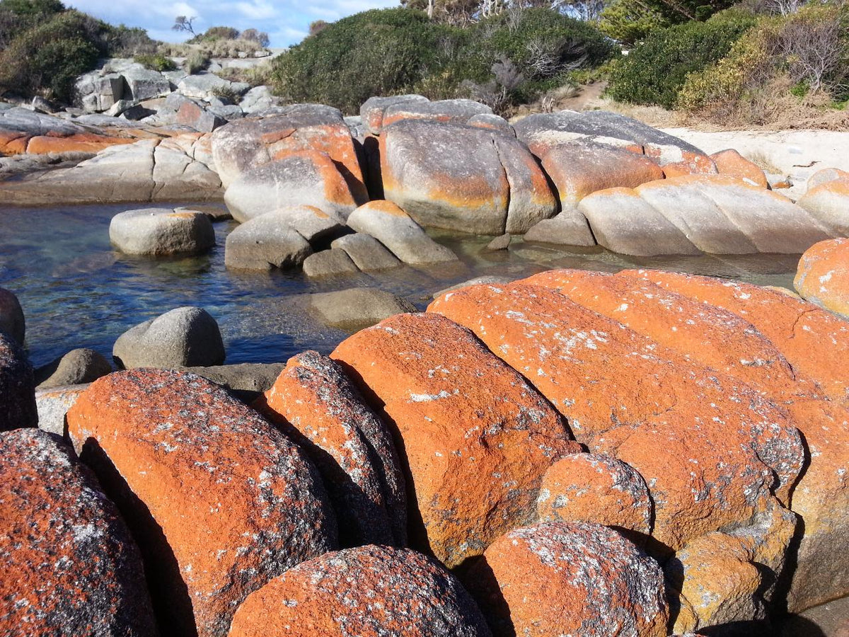 Bay Of Fires Day Tour