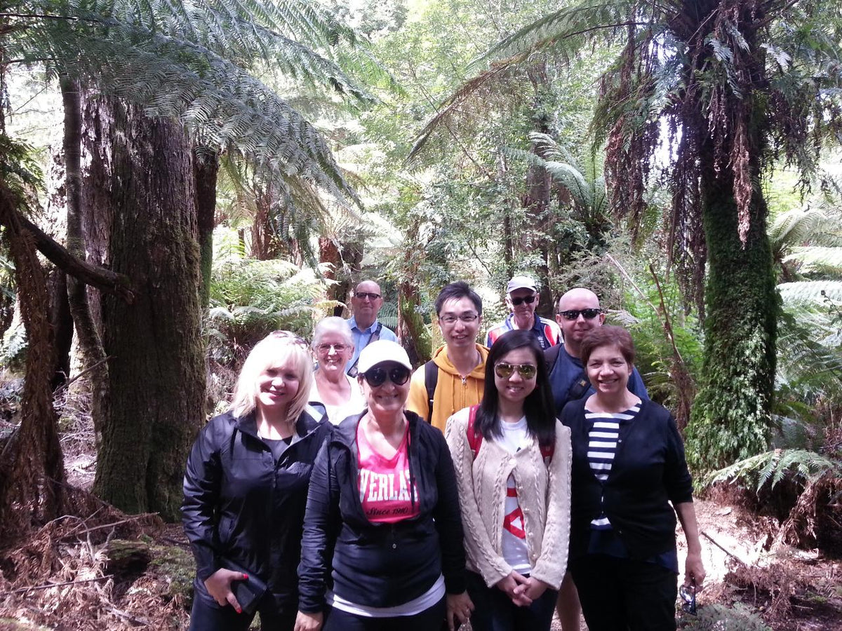 Bay Of Fires Day Tour