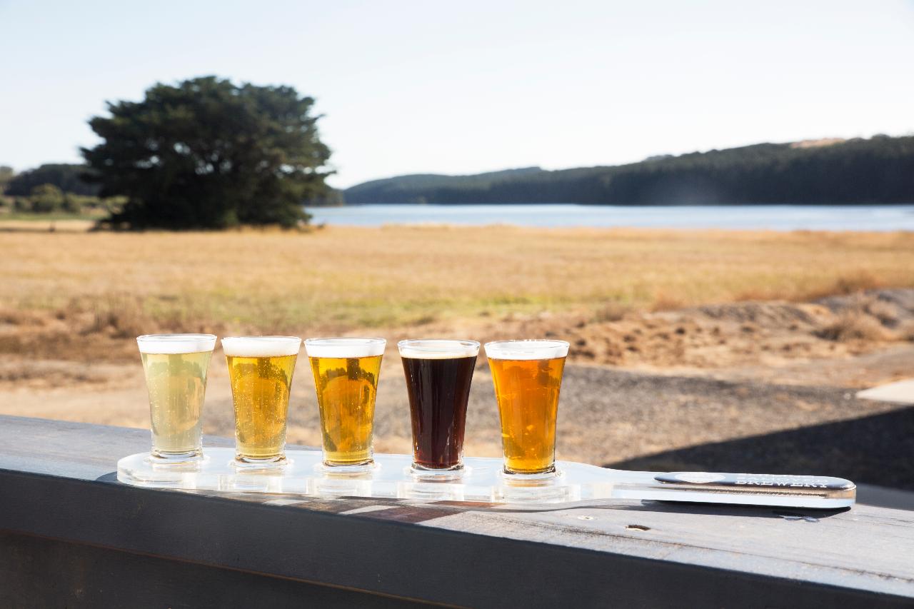 Premium Lunch With Live Music At Smiling Samoyed Brewery