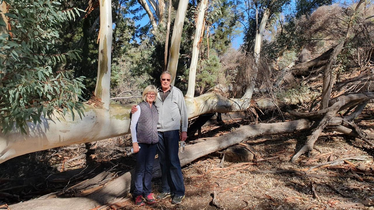 5-Day Flinders Ranges & Outback Small Group 4Wd Eco Safari