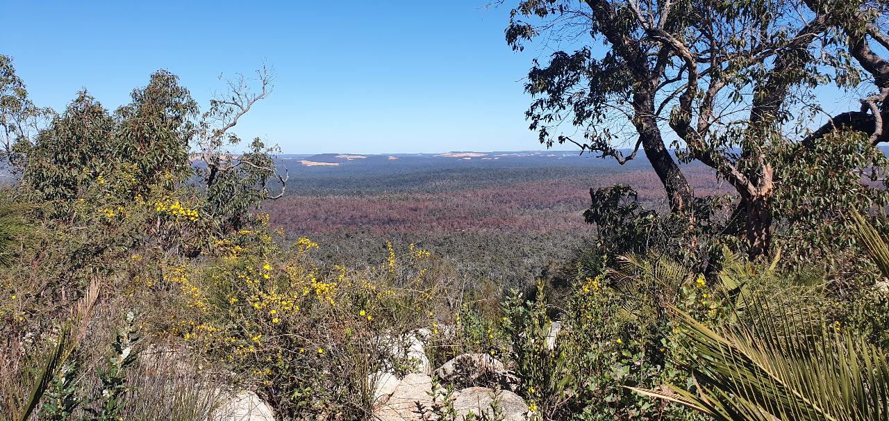 Darling Range Twin Peaks Hike