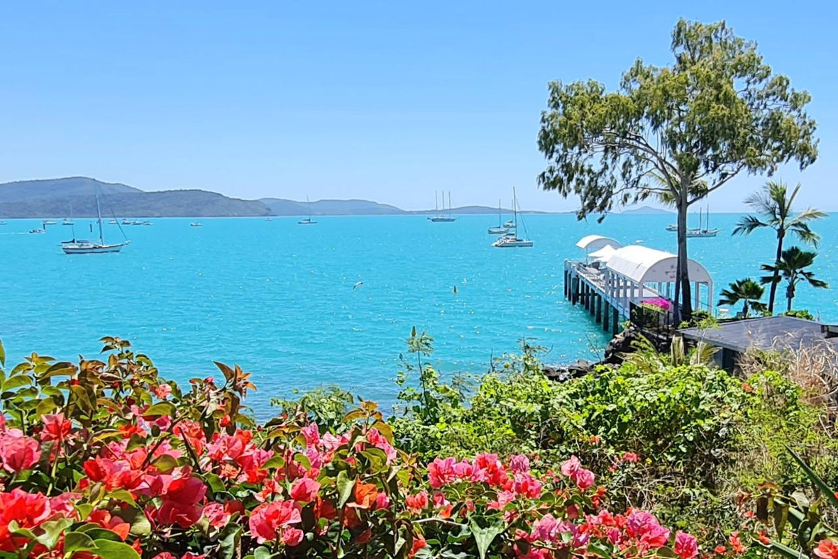 Best Of Airlie