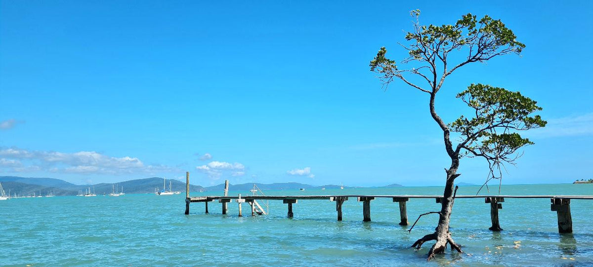 Best Of Airlie