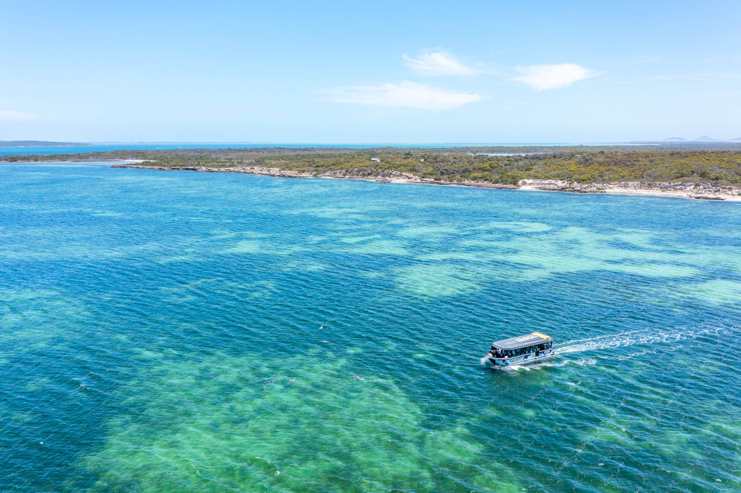 Coffin Bay Short & Sweet Oyster Farm Tour - 6 Oysters Included