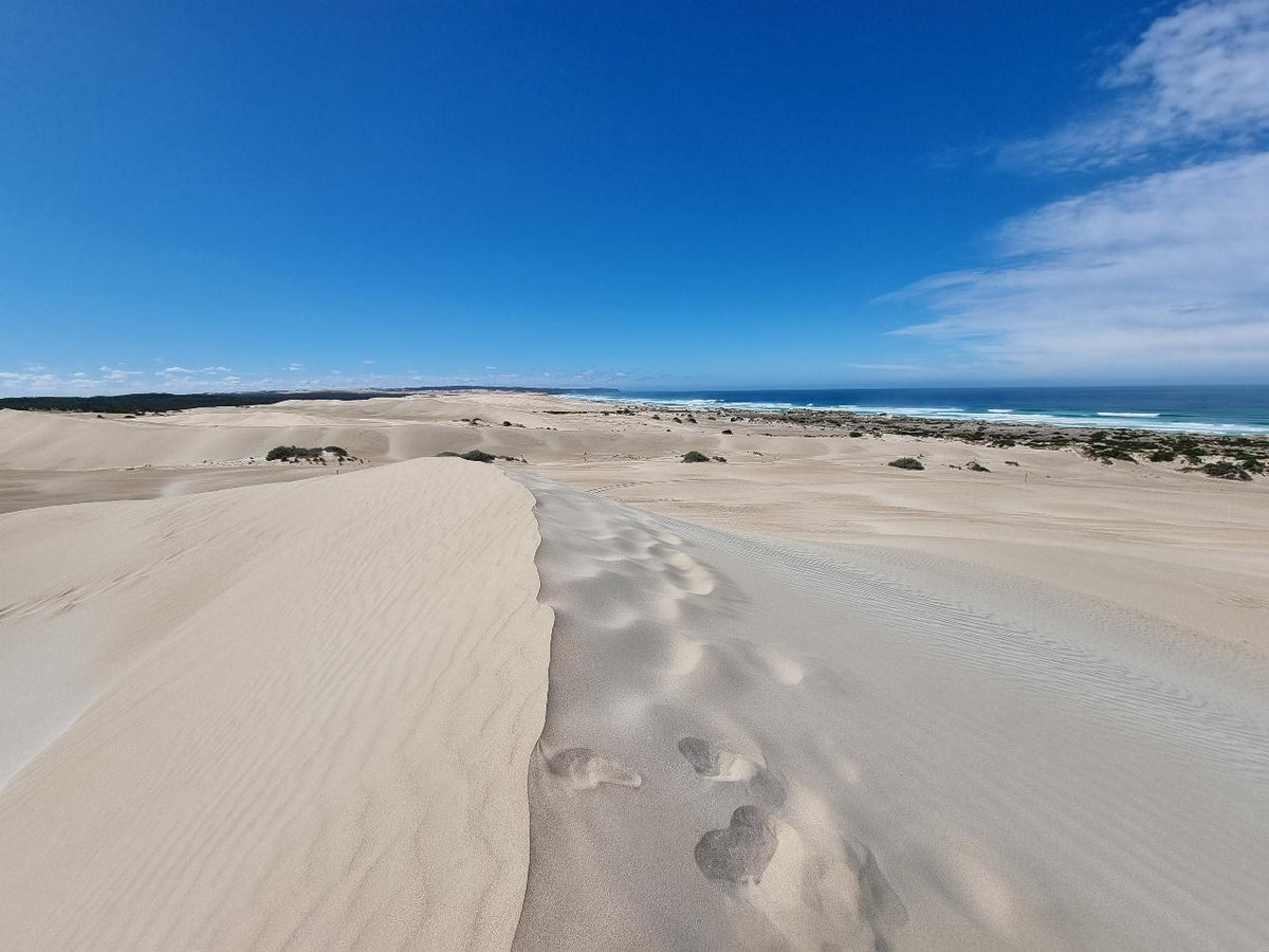 Coffin Bay National Park Sightseeing & Off-Road Tour