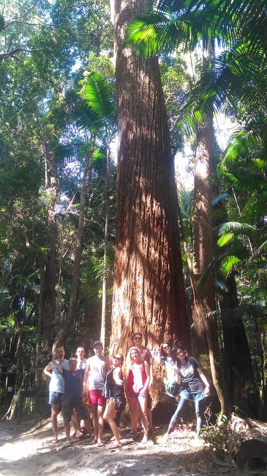 Fraser Island 2 Day 4Wd Safari Tour